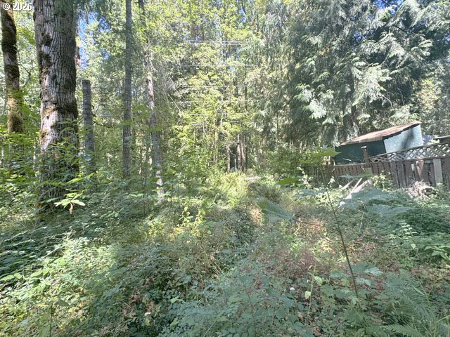 65425 East Timberline Drive Rhododendron, OR 97049 - Photo 5 of 14 Gallery Image 5