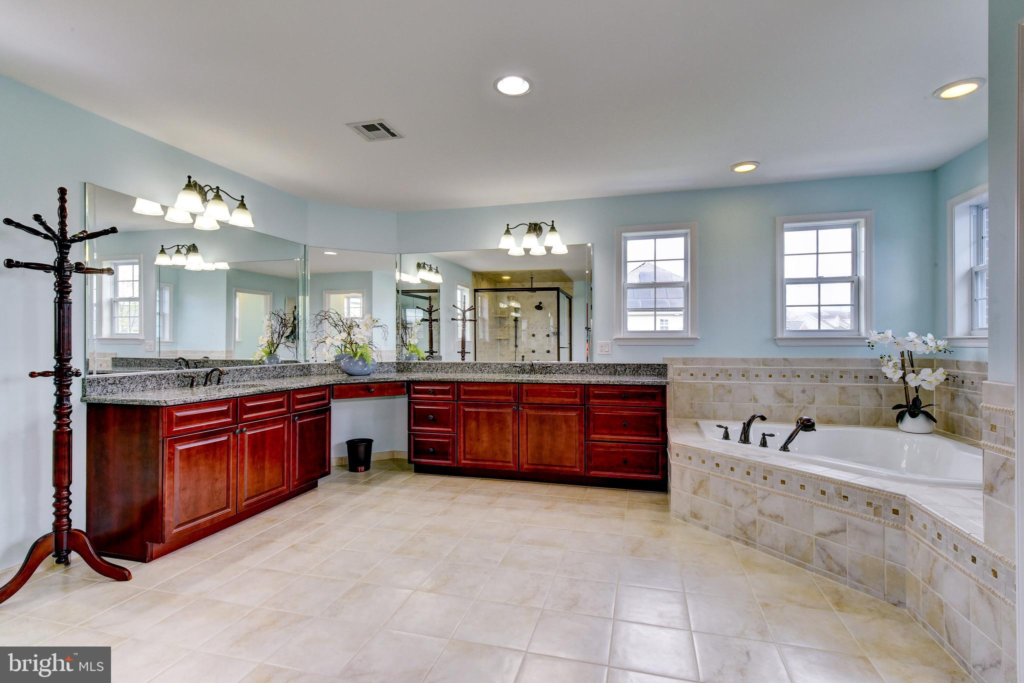 12 Sapphire Road Robbinsville, NJ 08691 - Photo 48 of 93 Primary Bathroom