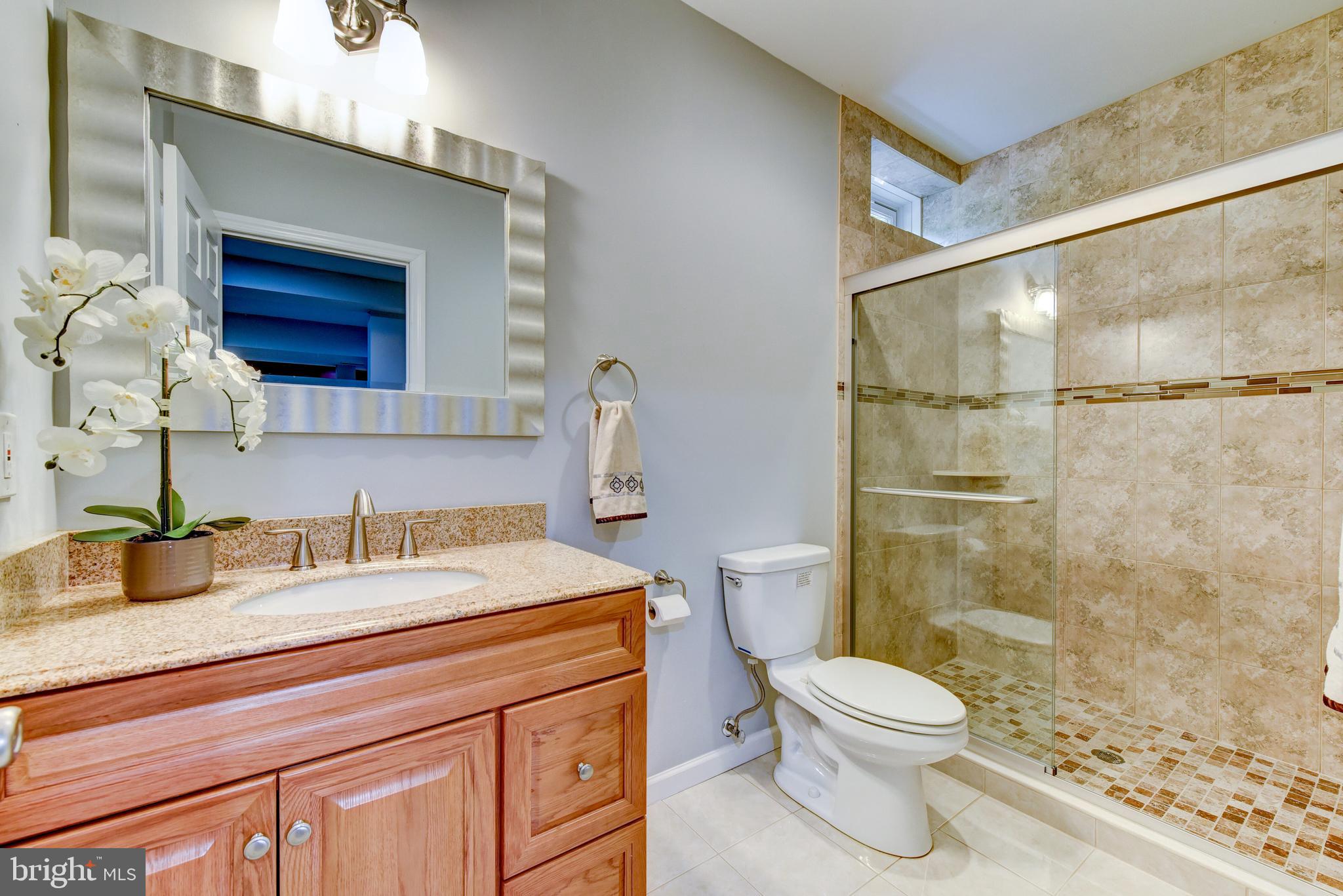 12 Sapphire Road Robbinsville, NJ 08691 - Photo 70 of 93 Full Bath in Basement