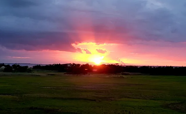 a view of a house with a window