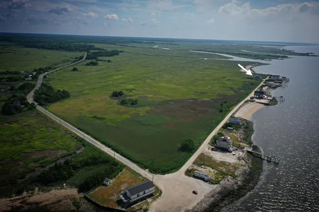 a view of a garden with a lake