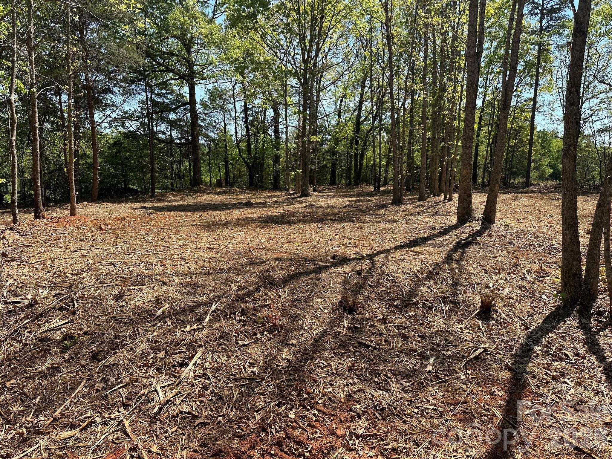 0 Stikeleather Road Hiddenite, NC 28636 - Photo 13 of 28 a view of outdoor space with trees