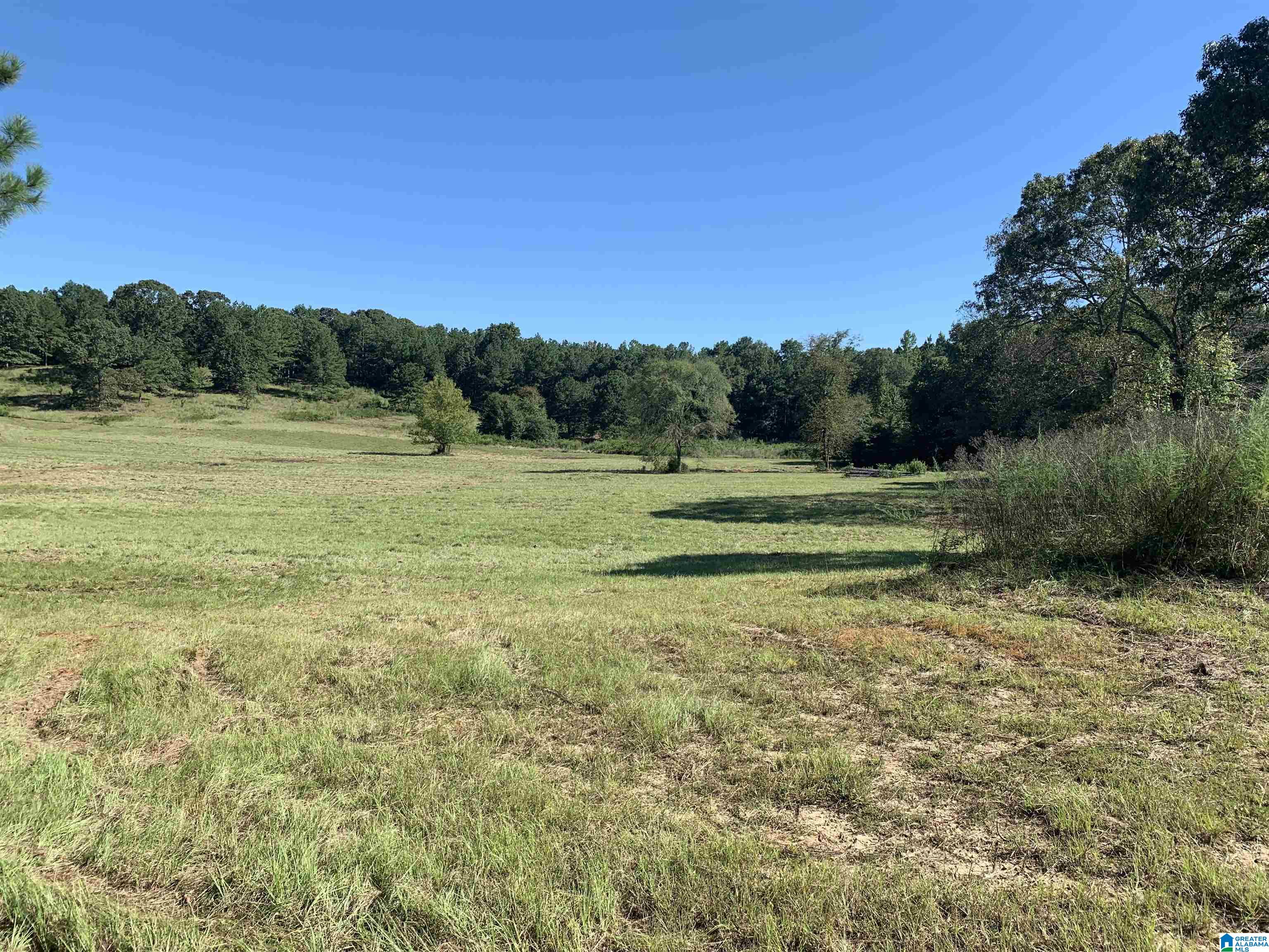 2020 Church Road, Unit 2020 Pell City, AL 35128 - Photo 7 of 16