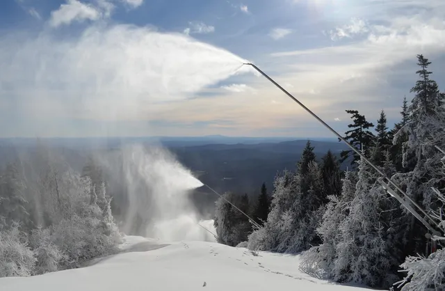 $575,000 | 306 Yale Road, Mount Holly, VT 05730