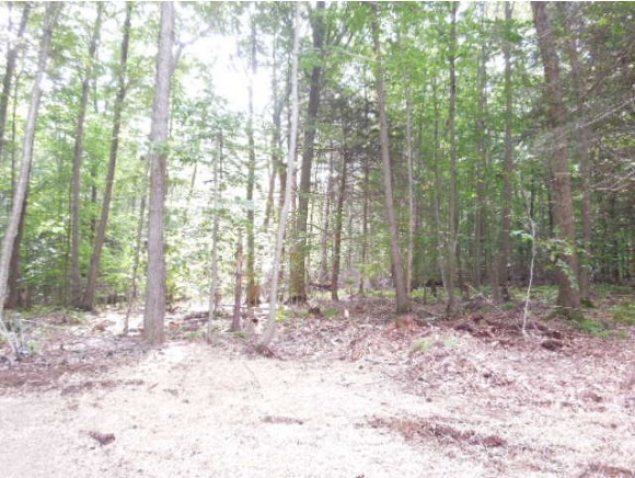 Gallery Image 6