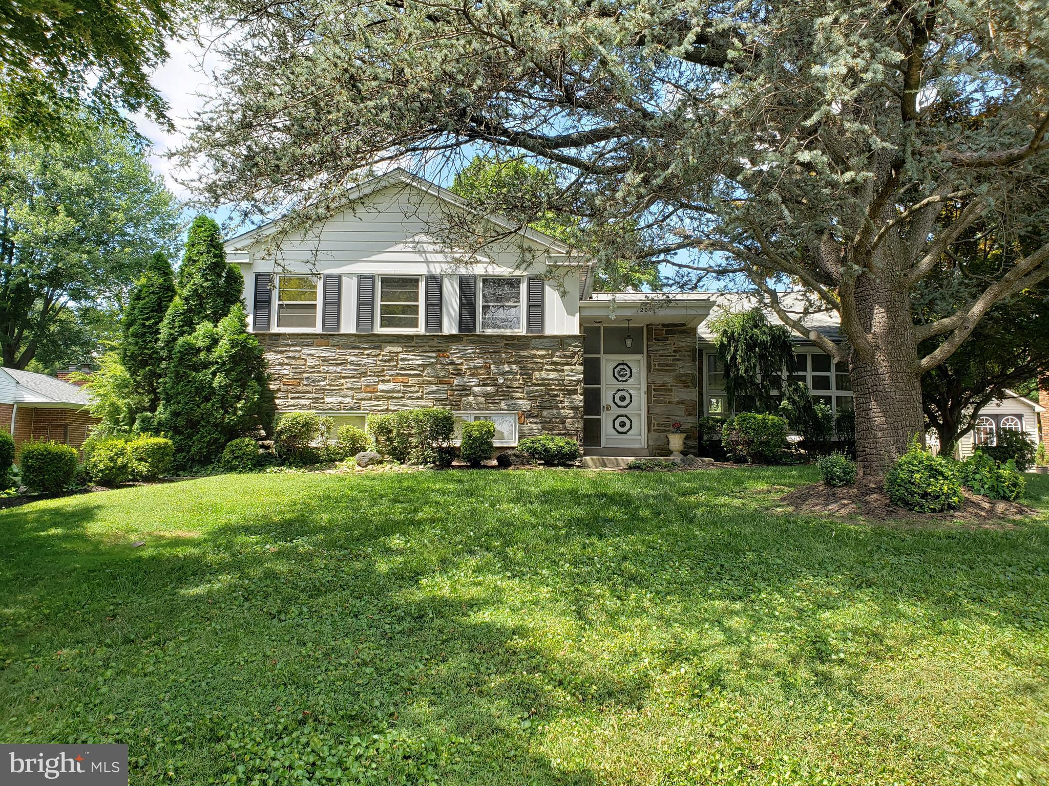 1205 Manoa Road Wynnewood, PA 19096 - Photo 1 of 44 Front Exterior and Weeping Spruce