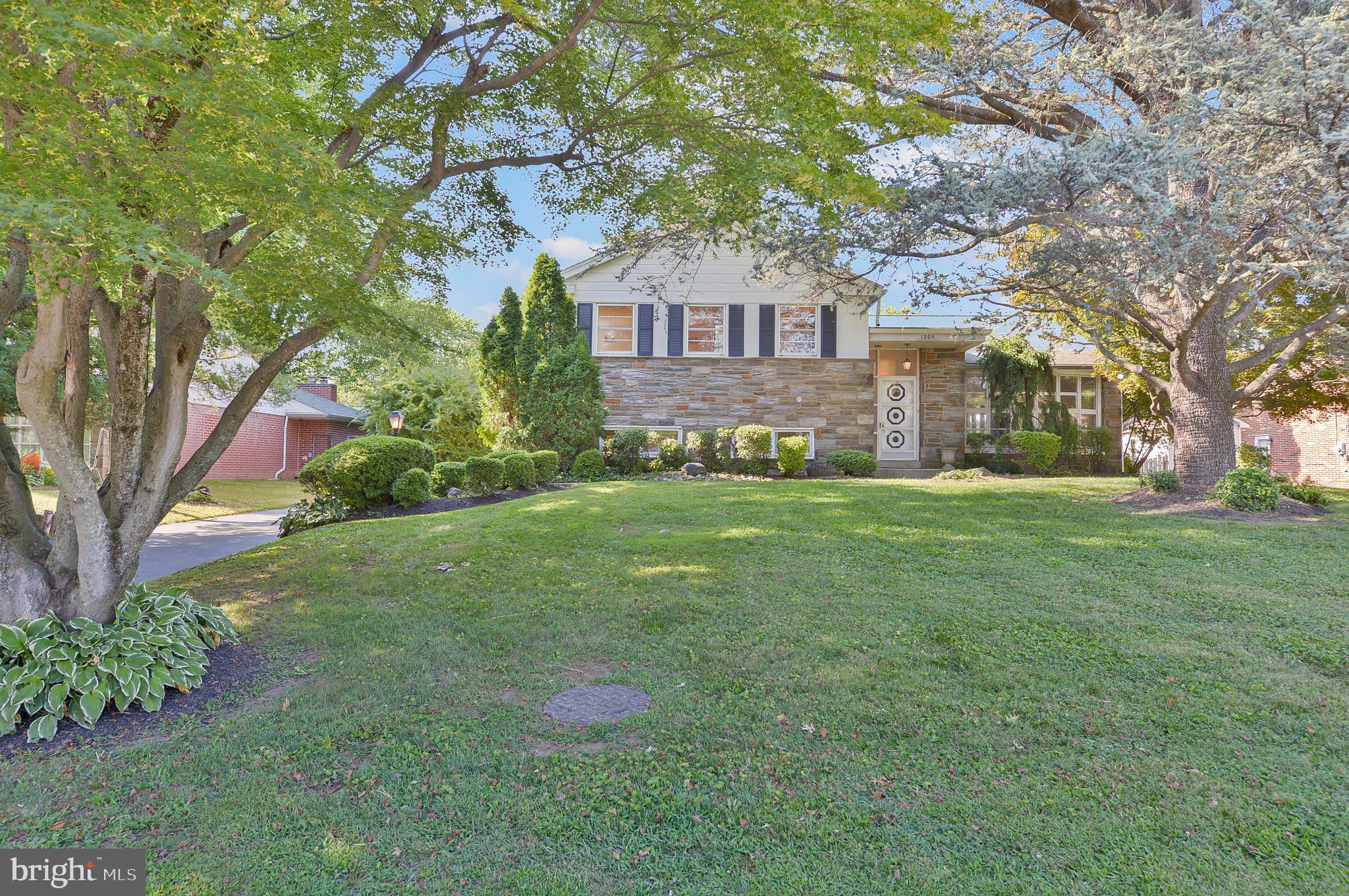 1205 Manoa Road Wynnewood, PA 19096 - Photo 3 of 44 Front exterior Weeping Spruce and Japenese Maple