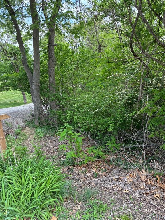 456 Susan Road St. Louis, MO 63129 - Photo 5 of 18 Gallery Image 5