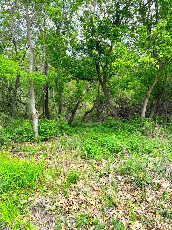 456 Susan Road St. Louis, MO 63129 - Photo 9 of 18 Gallery Image 9
