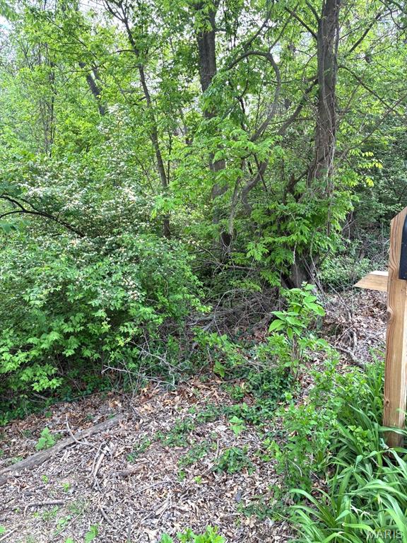 456 Susan Road St. Louis, MO 63129 - Photo 10 of 18 Gallery Image 10