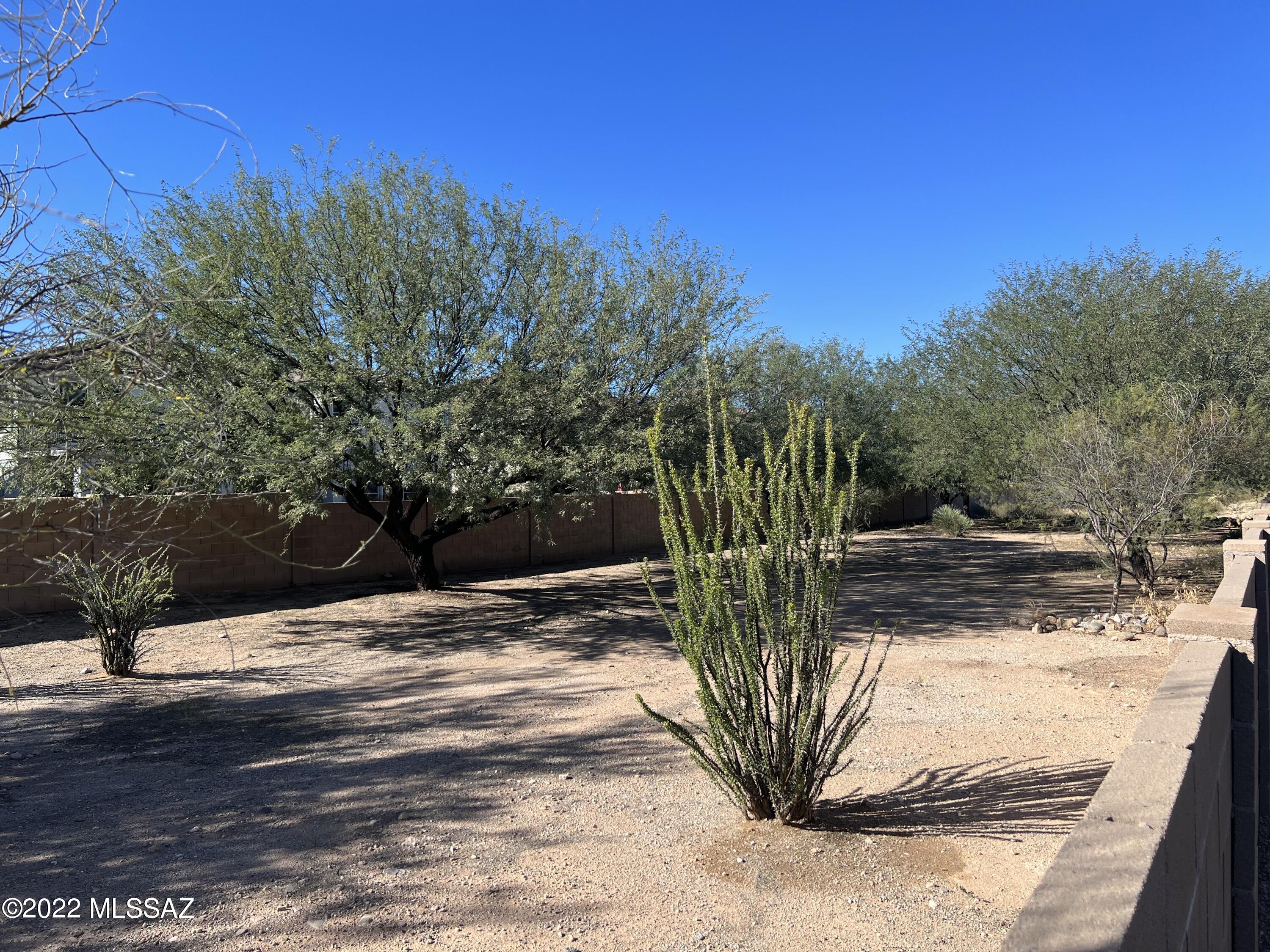 6908 South Bittercress Road Tucson, AZ 85756 - Photo 28 of 28 DC685FEC-085B-4BB6-B9EF-9D3DA9D6DA72