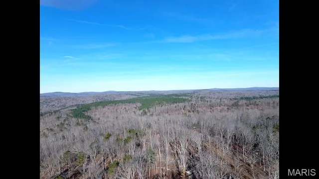 $78,000 | 300 Madison Street, Fredericktown, MO 63645