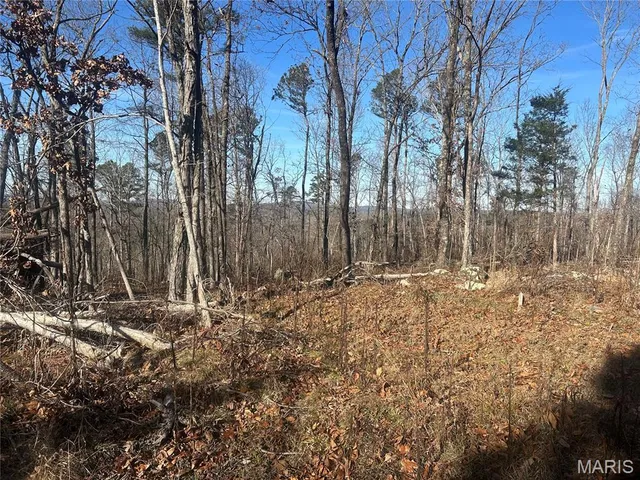 $78,000 | 300 Madison Street, Fredericktown, MO 63645