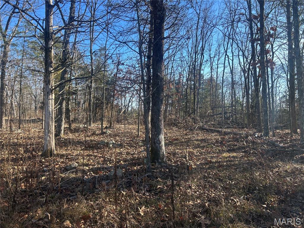 300 Madison Street Fredericktown, MO 63645 - Photo 4 of 12