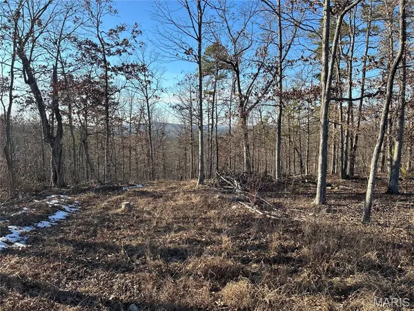 $78,000 | 300 Madison Street, Fredericktown, MO 63645