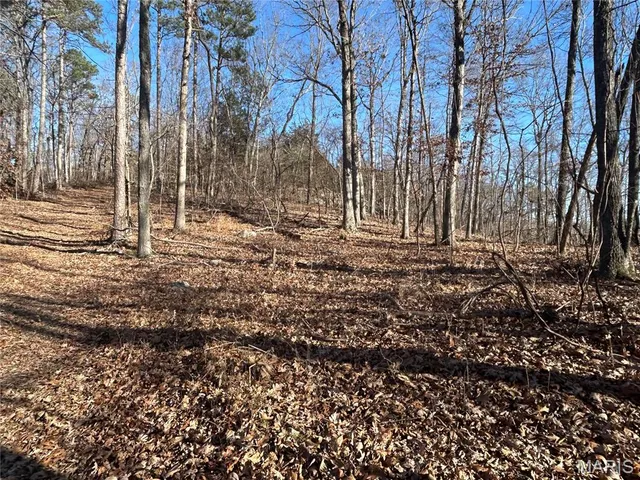 $78,000 | 300 Madison Street, Fredericktown, MO 63645