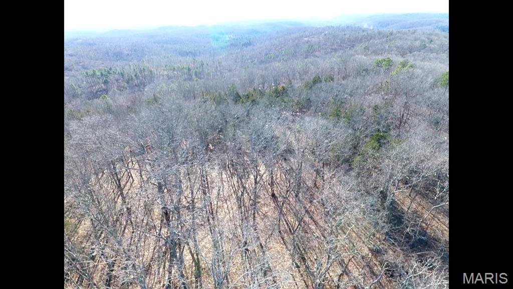 300 Madison Street Fredericktown, MO 63645 - Photo 8 of 12