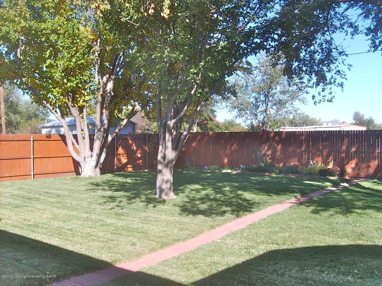 4814 Tulip Avenue Amarillo, TX 79110 - Photo 20 of 27 a view of backyard with tree
