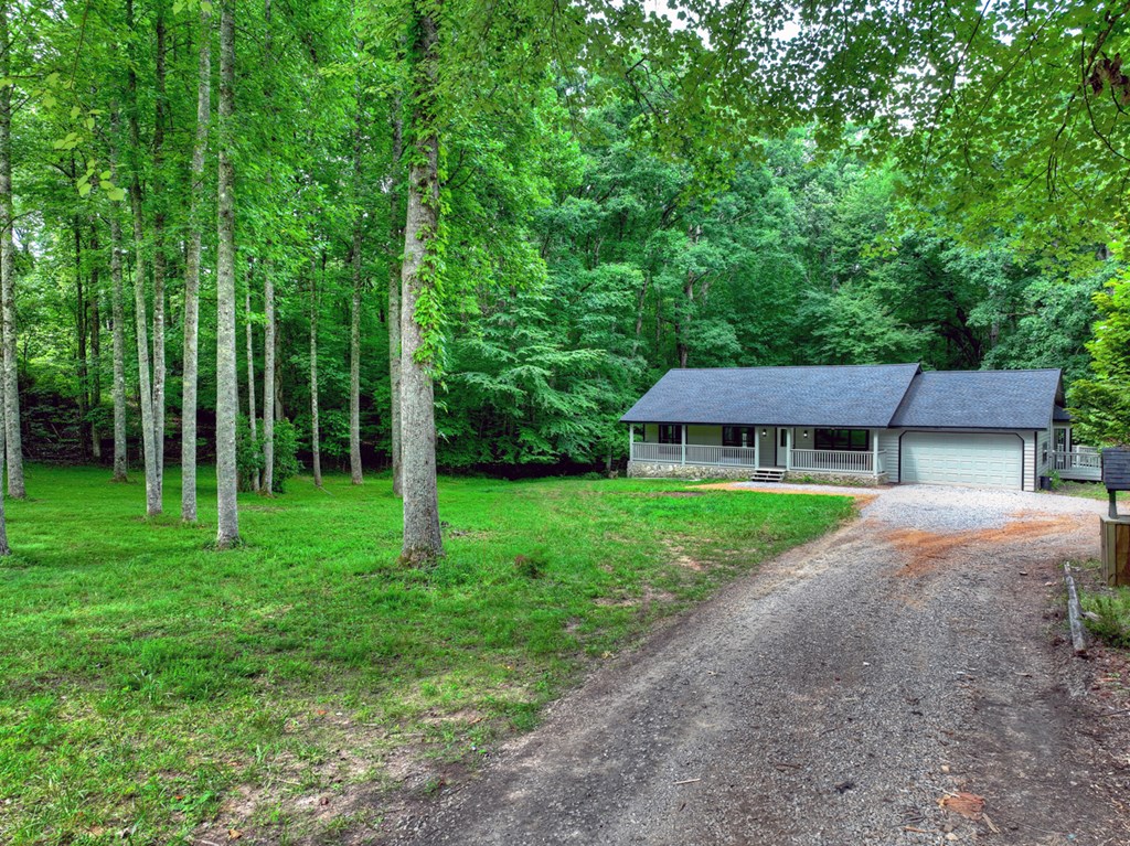232 Chestnut Gap Road Blue Ridge, GA 30513 - Photo 2 of 37