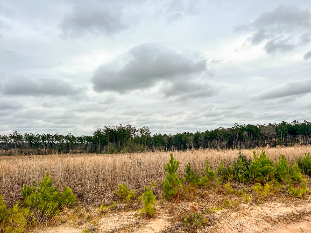 1 B Hardin Hideout Road Moscow, TX 75960 - Photo 4 of 14
