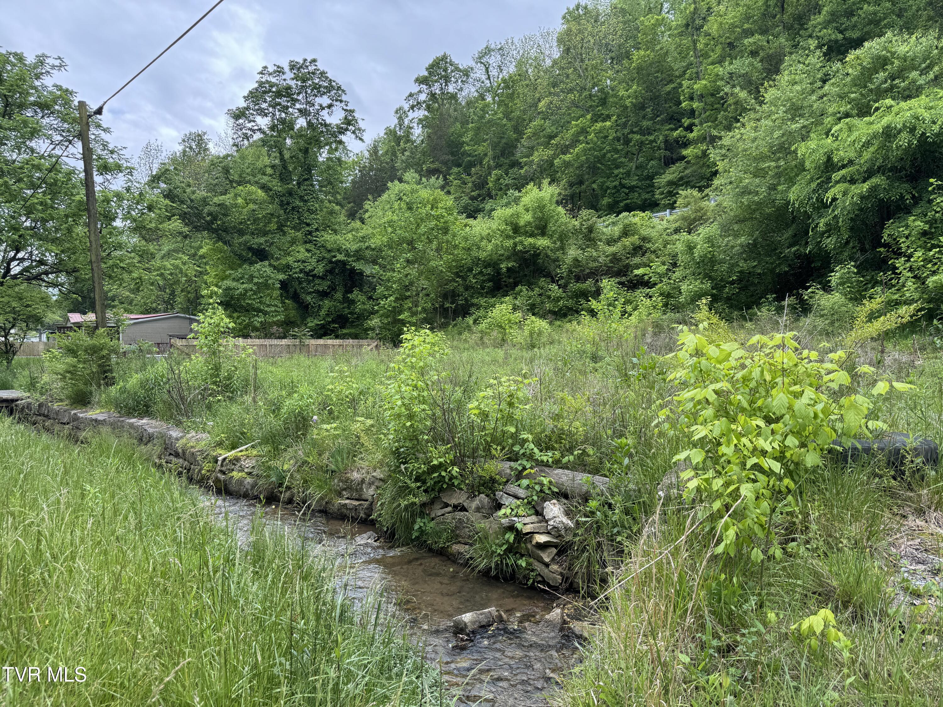 603 Town Branch Road Jonesville, VA 24263 - Photo 3 of 6 NICE STREAM AT FRONT OF LOT