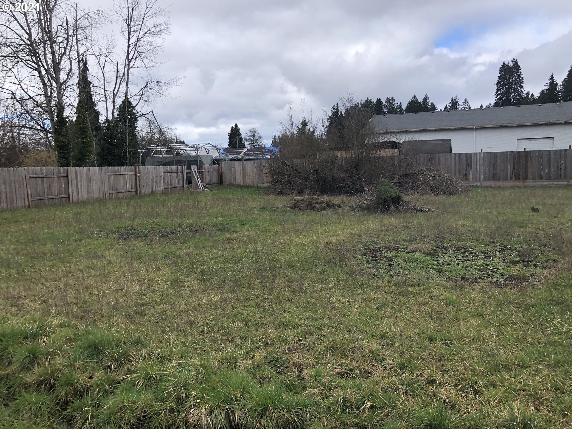 77810 Mosby Creek Road Cottage Grove, OR 97424 - Photo 9 of 11