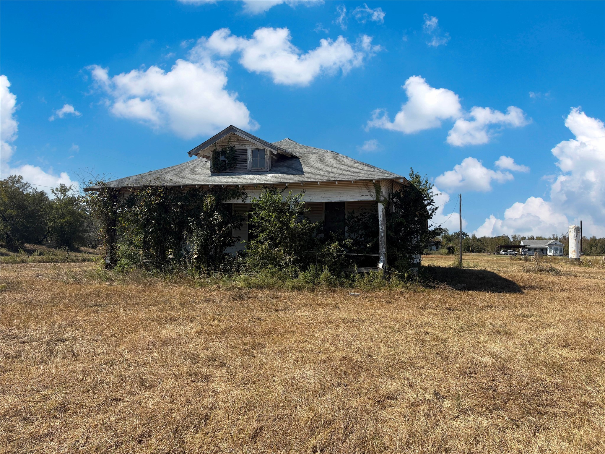 5 Acres Fm 3090 Road Anderson, TX 77830 - Photo 8 of 8 a backyard of a house with lots of green space