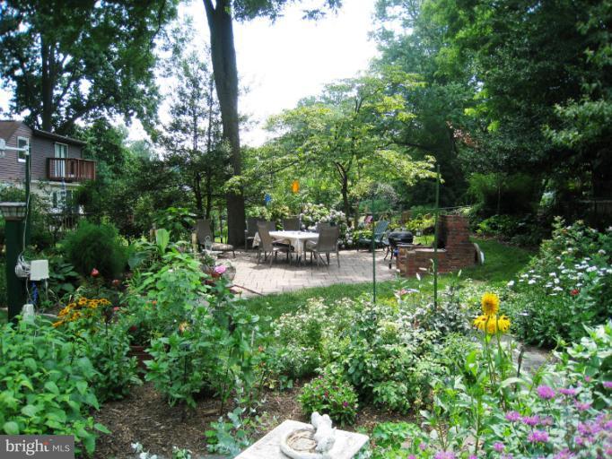Patio / Garden