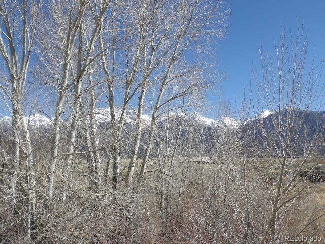 530 Camino Del Rey Crestone, CO 81131 - Photo 8 of 12