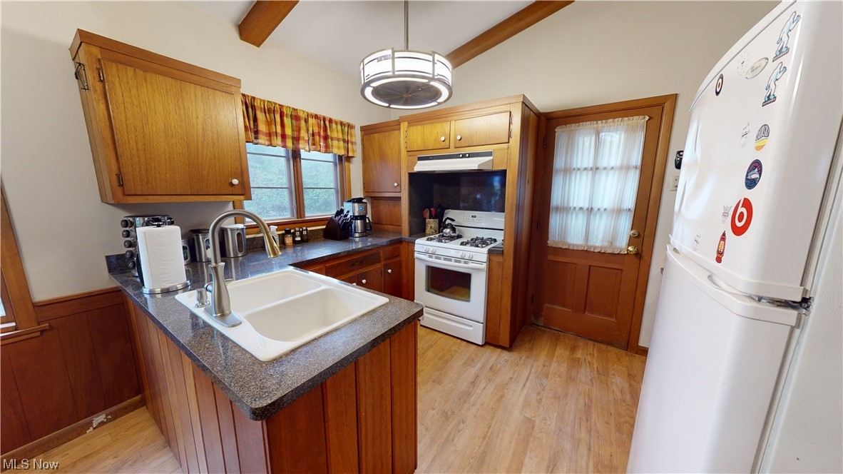 1243 Yellowstone Road Cleveland, OH 44121 - Photo 3 of 28 Kitchen with decorative light fixtures, white appliances, light wood-type flooring, and sink