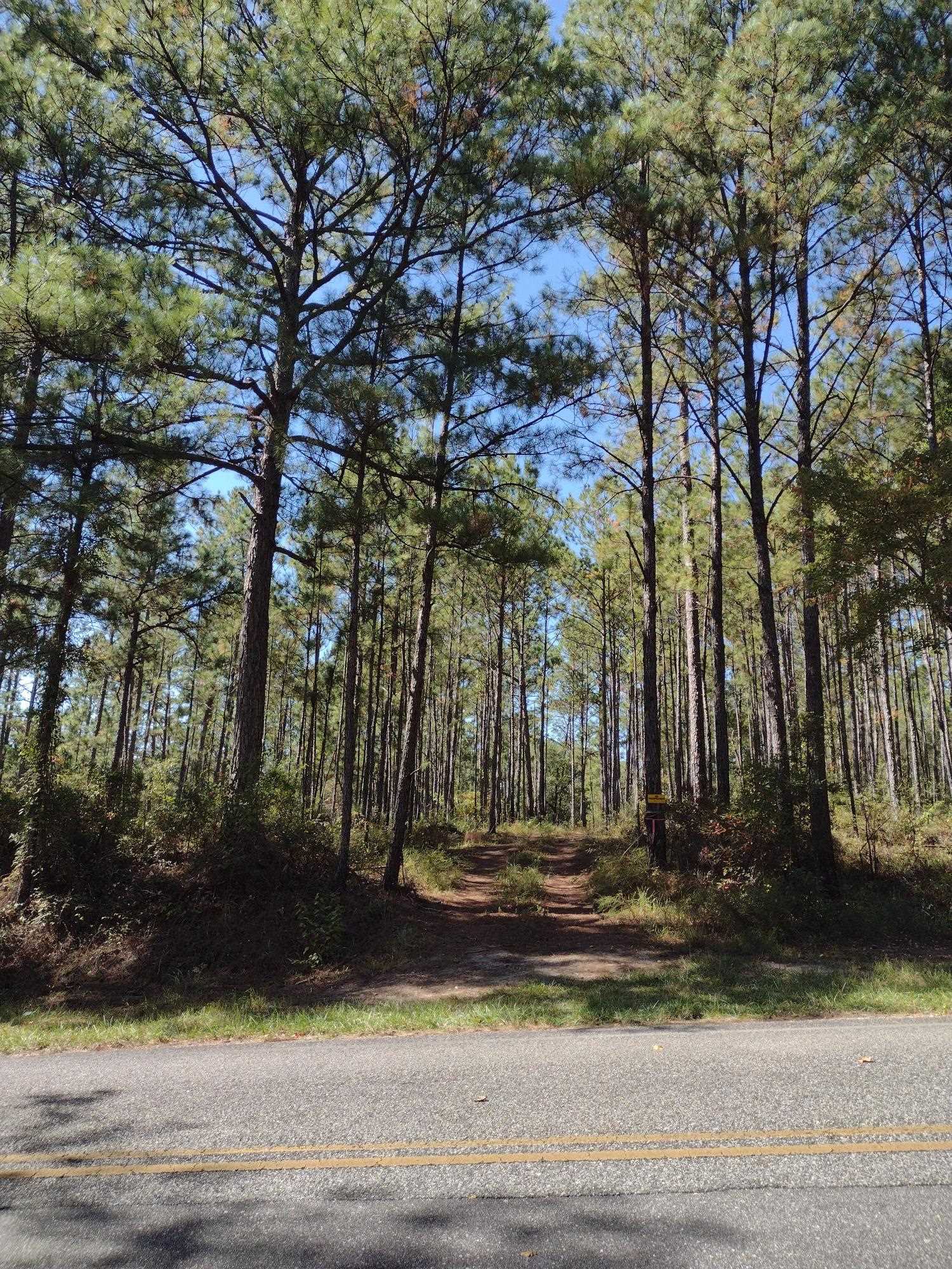 0 Canaan Road West Stockton, AL 36579 - Photo 11 of 12
