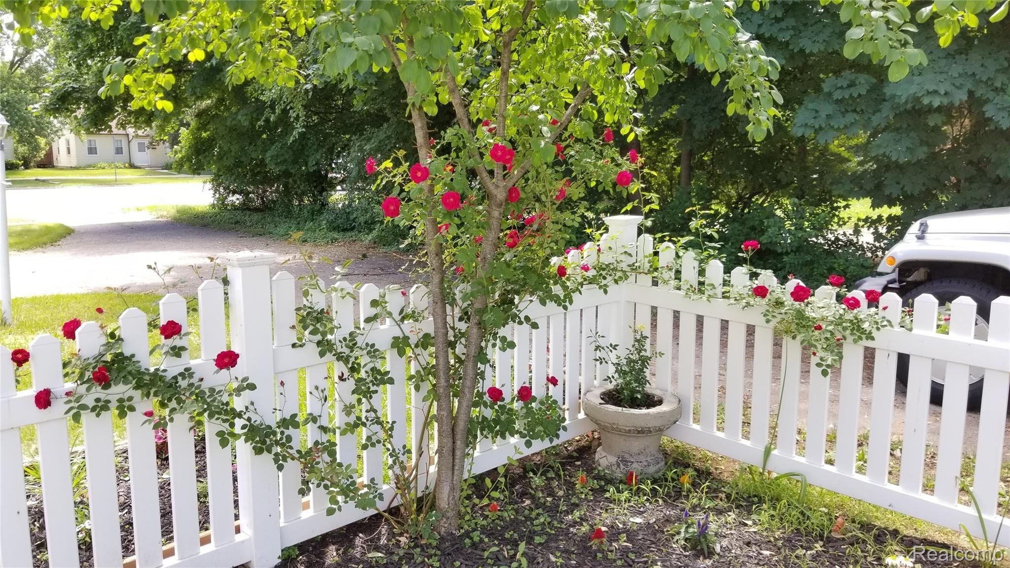 14445 Inkster Road Livonia, MI 48154 - Photo 25 of 31 Summer view of the rose garden