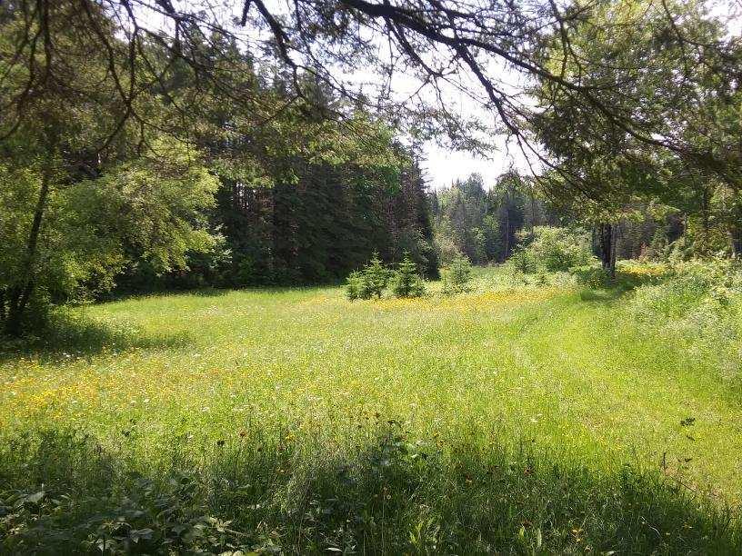 1661 Ludlow Road Houlton, ME 04730 - Photo 62 of 63 image000002uuuu