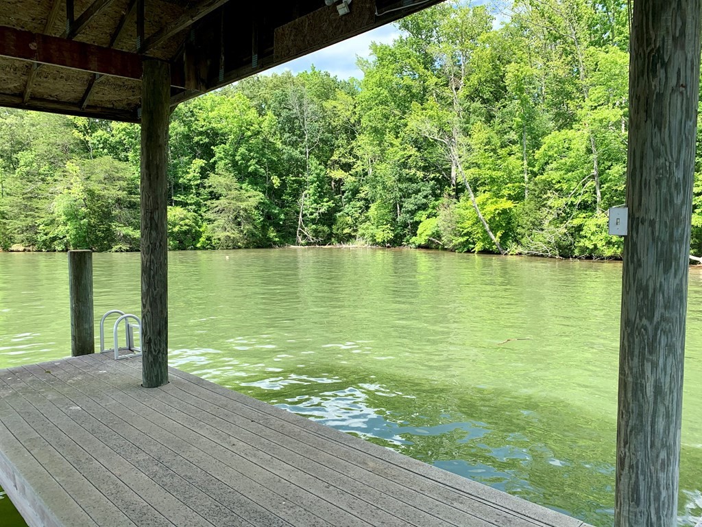 0 Red Cloud Trail Spring City, TN 37381 - Photo 23 of 49
