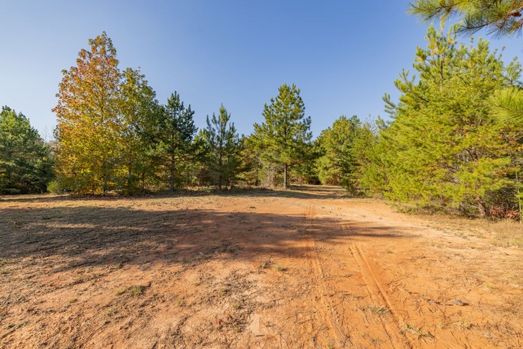 Crymes Road, Unit 13A Keysville, VA 23947 - Photo 15 of 39 Gallery Image 15