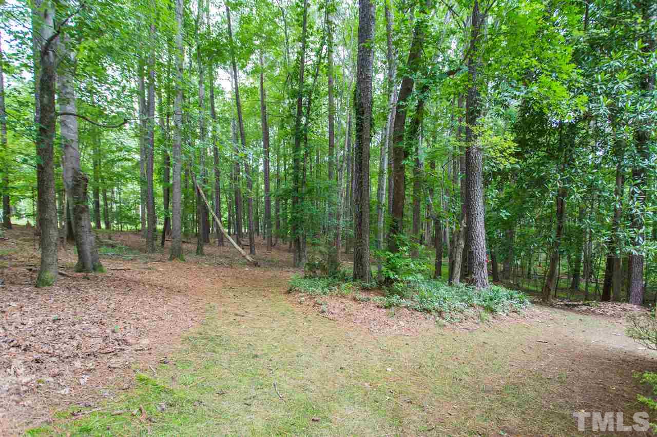 10005 Bavin Place Raleigh, NC 27613 - Photo 28 of 30 a view of outdoor space and trees