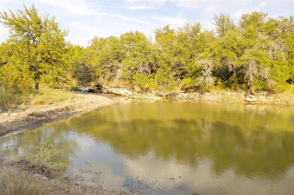 2525 Dodson Pr Road Gordon, TX 76453 - Photo 30 of 31 Water view with a forest