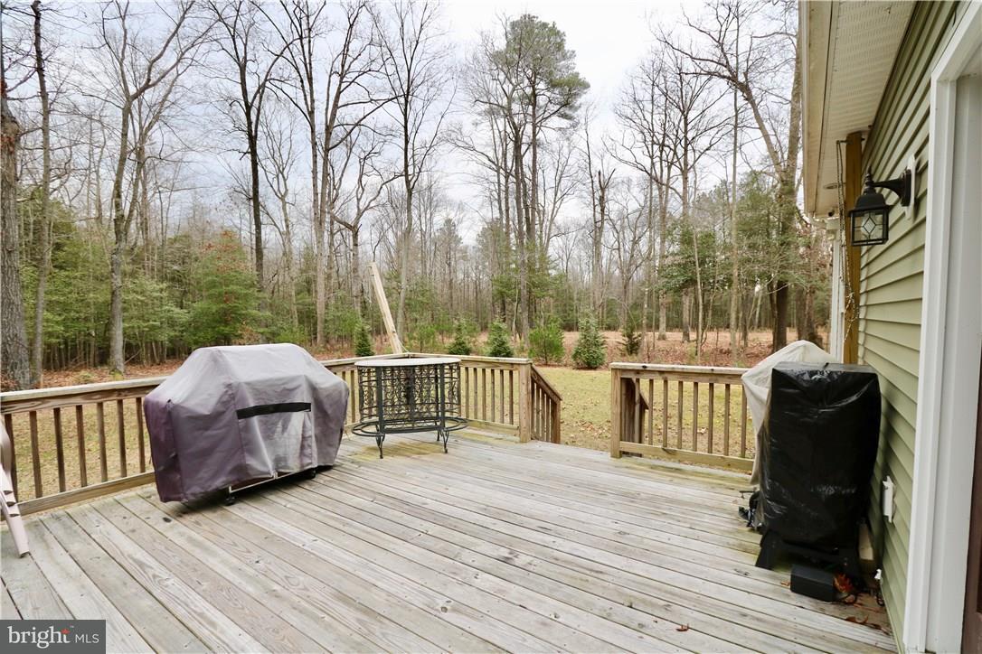 21061 Cool Spring Road Milton, DE 19968 - Photo 20 of 24 Gallery Image 20