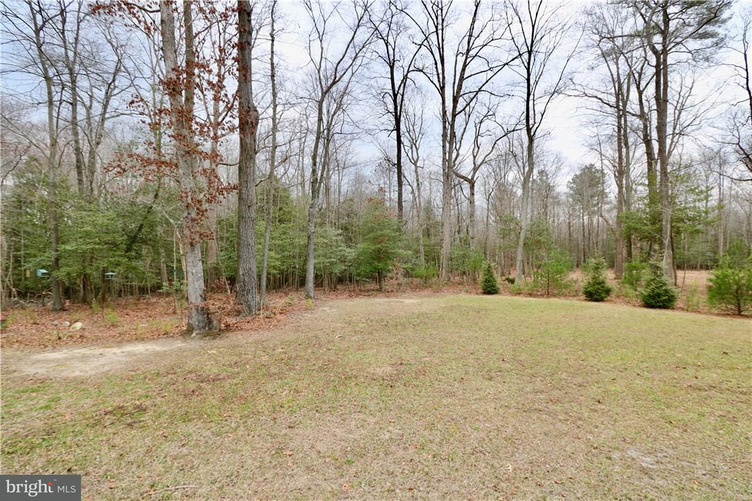 21061 Cool Spring Road Milton, DE 19968 - Photo 21 of 24 Gallery Image 21