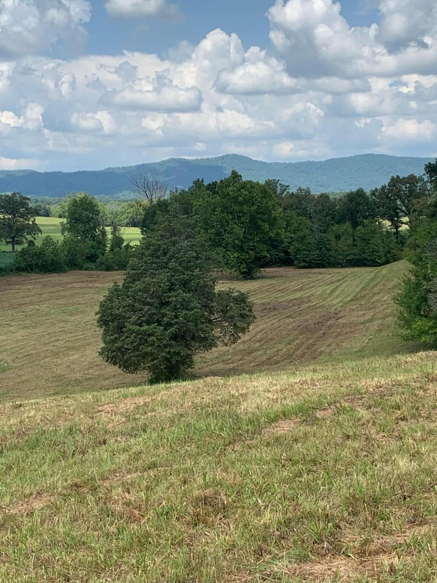 4080 Ottway Road Greeneville, TN 37745 - Photo 60 of 77 IMG-1565