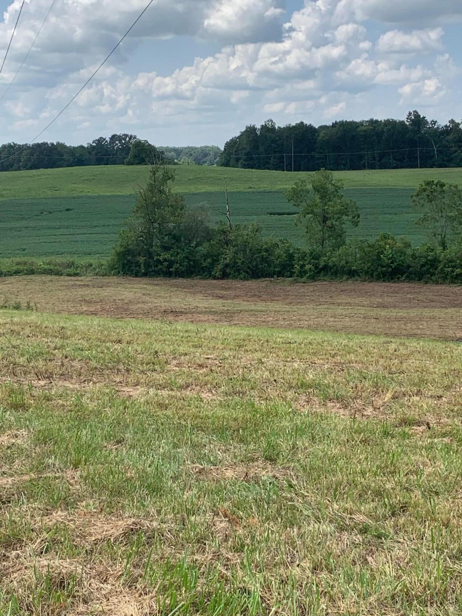 4080 Ottway Road Greeneville, TN 37745 - Photo 61 of 77 IMG-1567