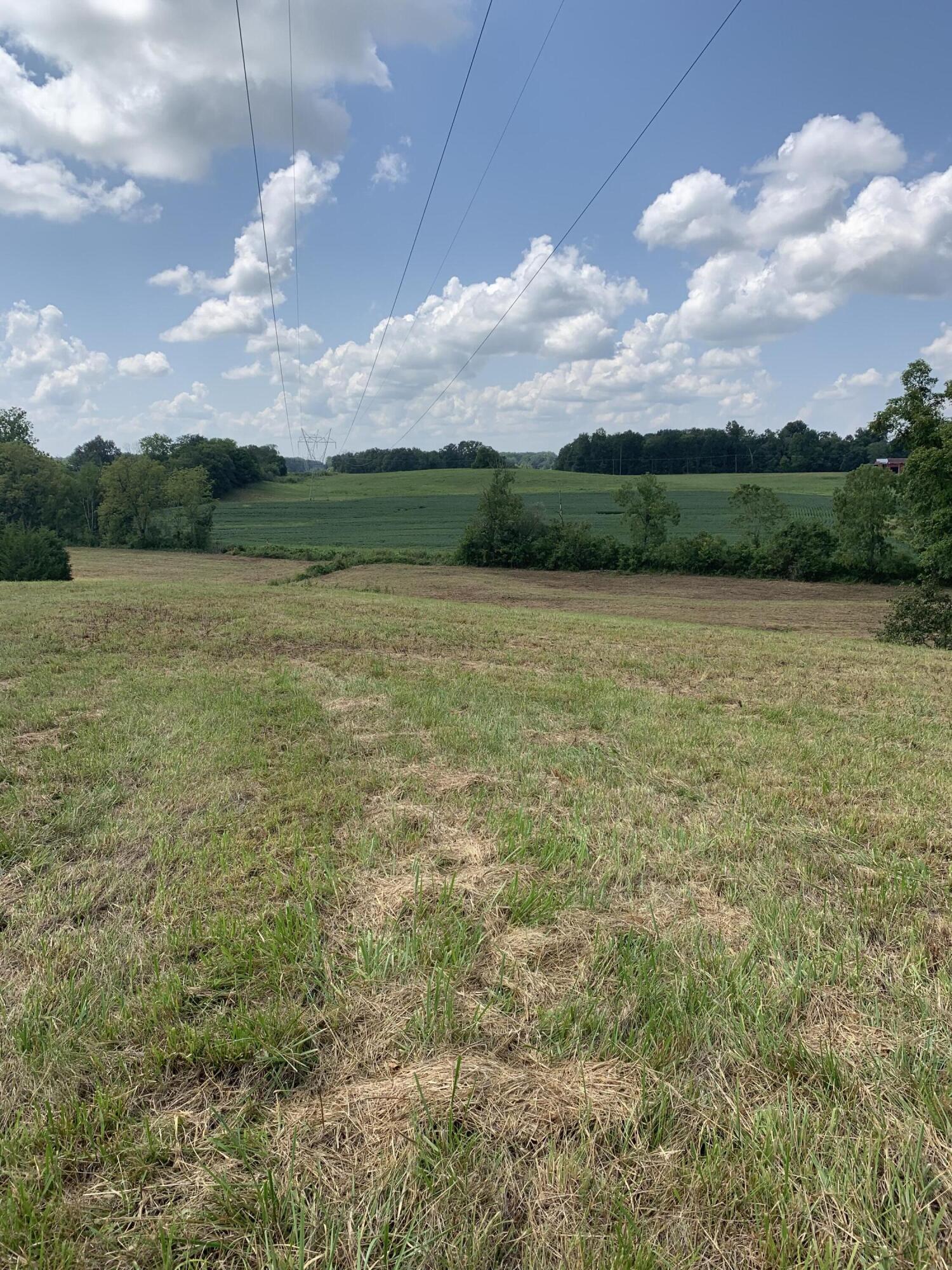 4080 Ottway Road Greeneville, TN 37745 - Photo 62 of 77 IMG-1568