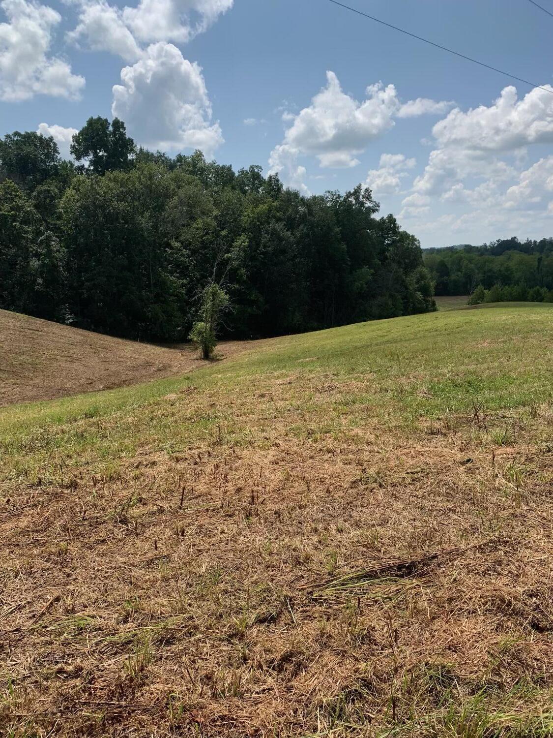 4080 Ottway Road Greeneville, TN 37745 - Photo 63 of 77 IMG-1569
