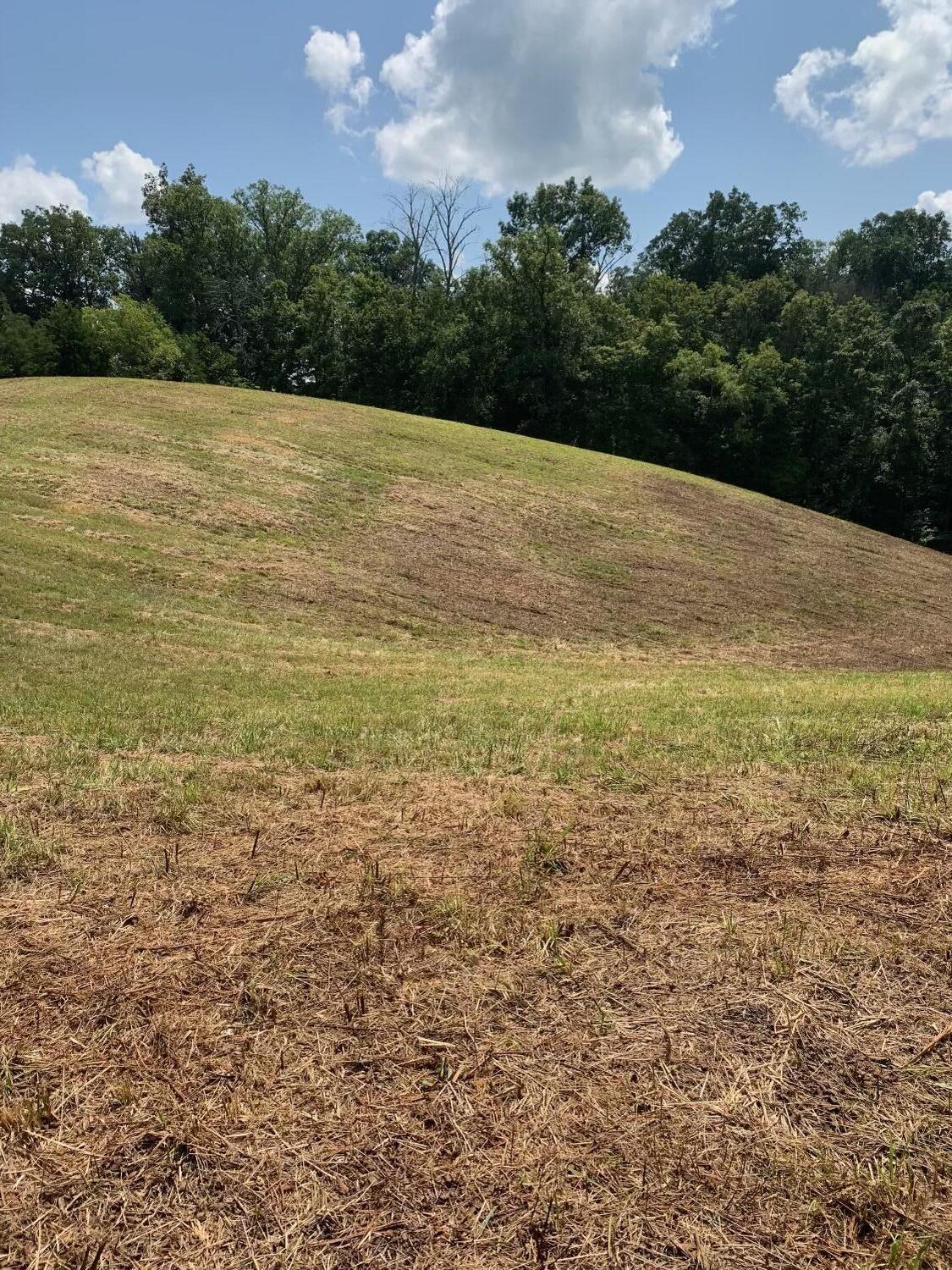 4080 Ottway Road Greeneville, TN 37745 - Photo 64 of 77 IMG-1570