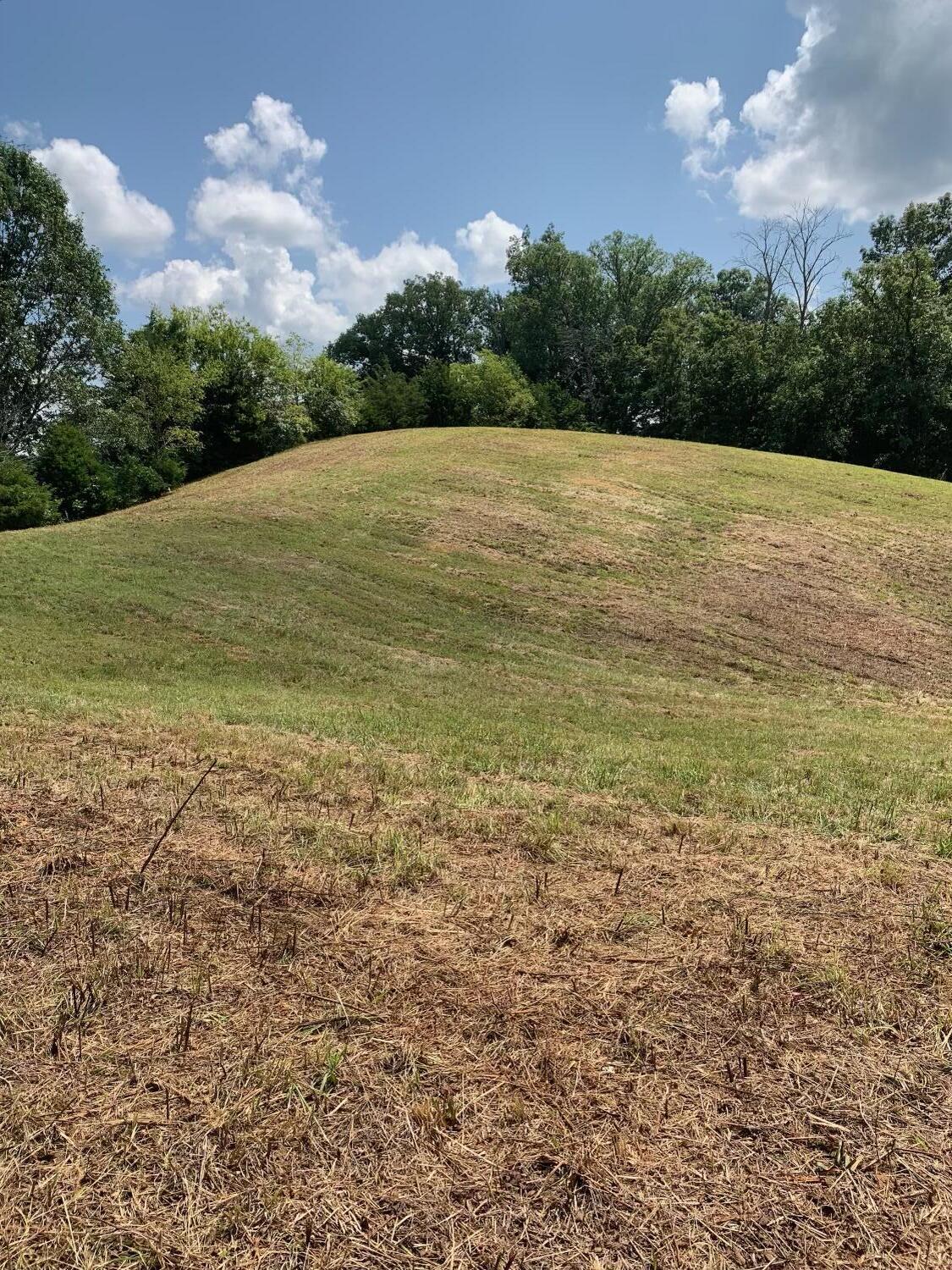 4080 Ottway Road Greeneville, TN 37745 - Photo 66 of 77 IMG-1572