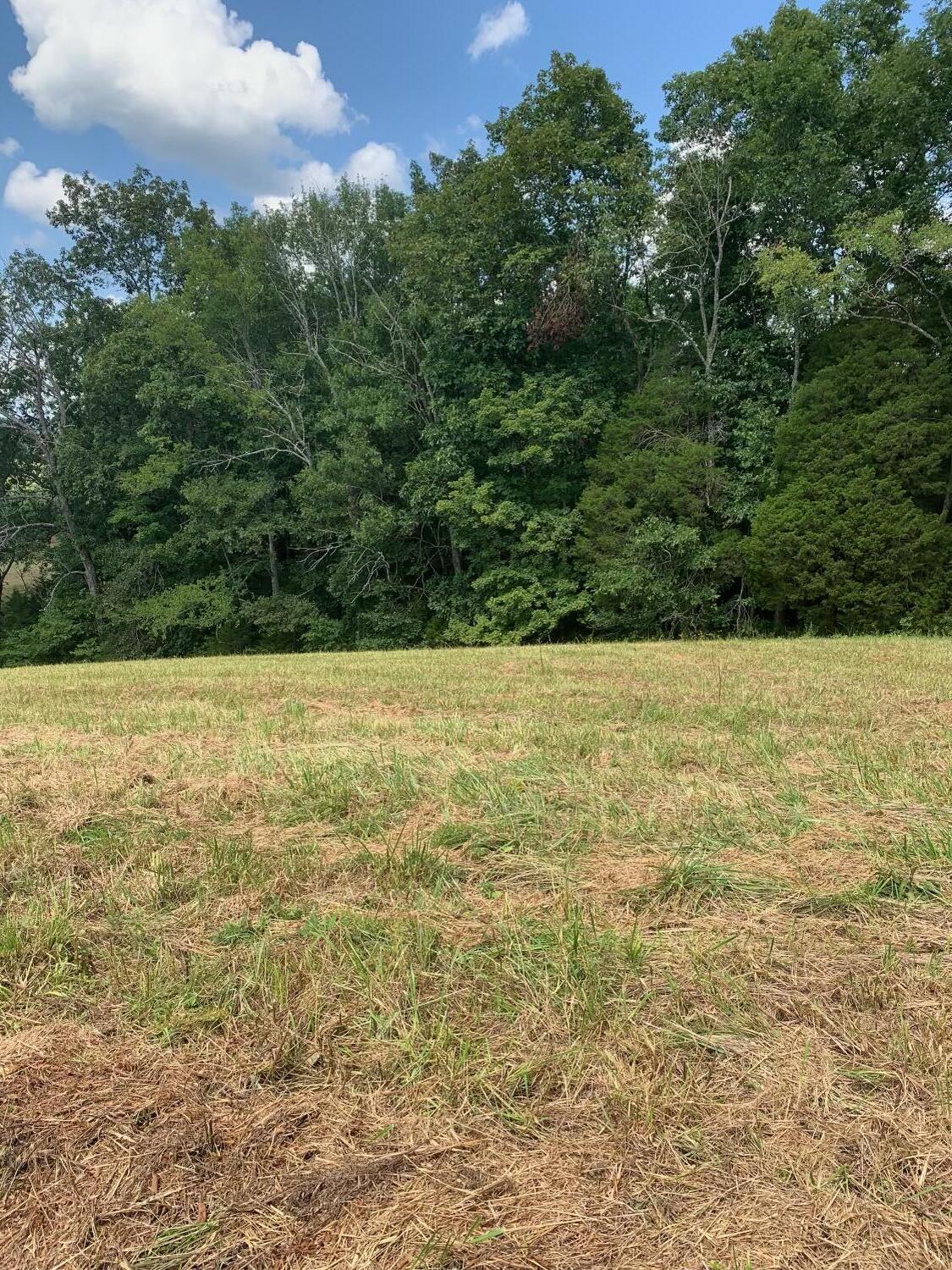 4080 Ottway Road Greeneville, TN 37745 - Photo 67 of 77 IMG-1573