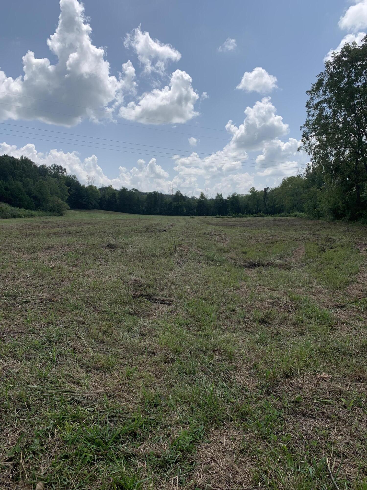 4080 Ottway Road Greeneville, TN 37745 - Photo 68 of 77 IMG-1577