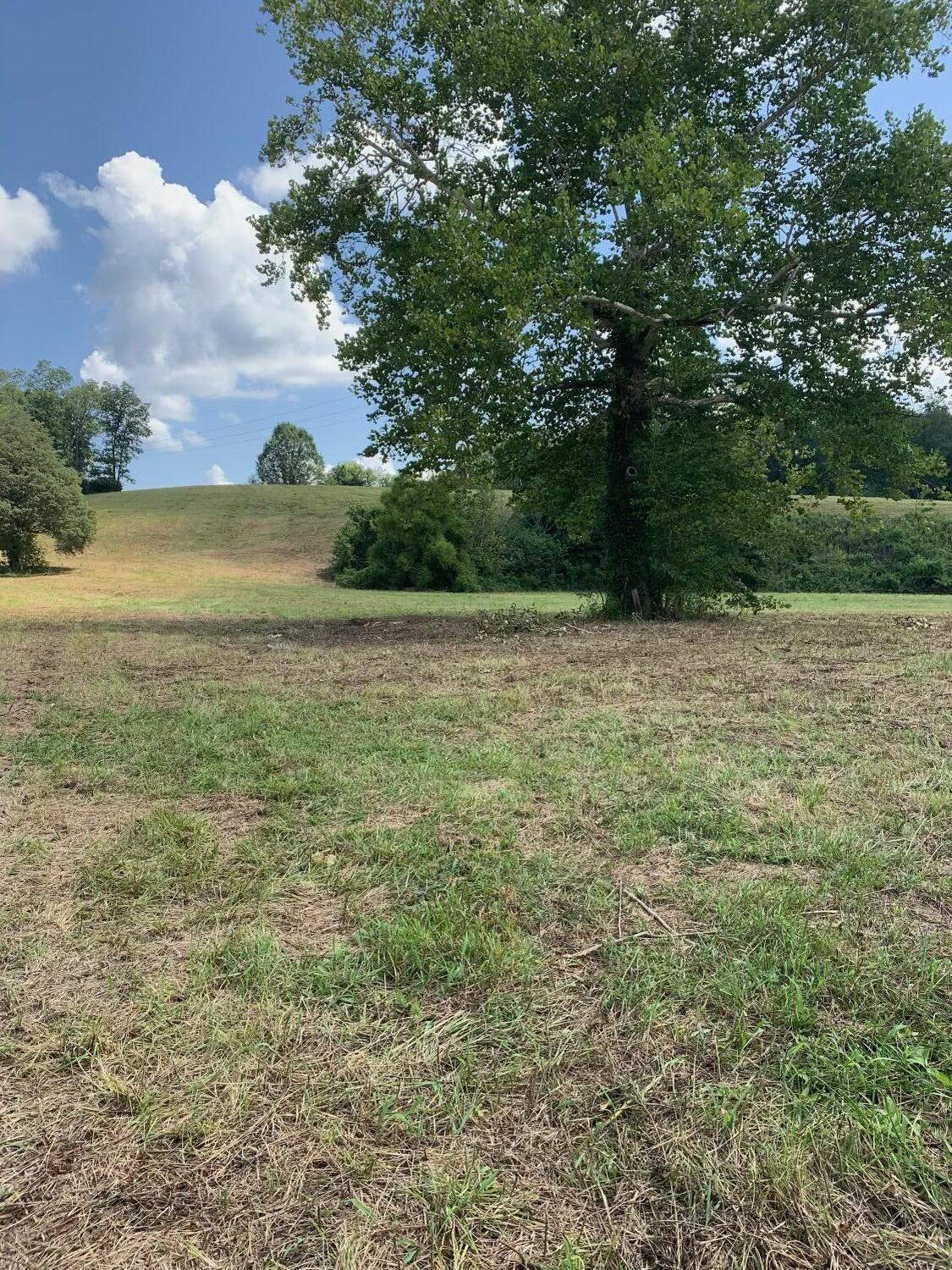 4080 Ottway Road Greeneville, TN 37745 - Photo 70 of 77 IMG-1580