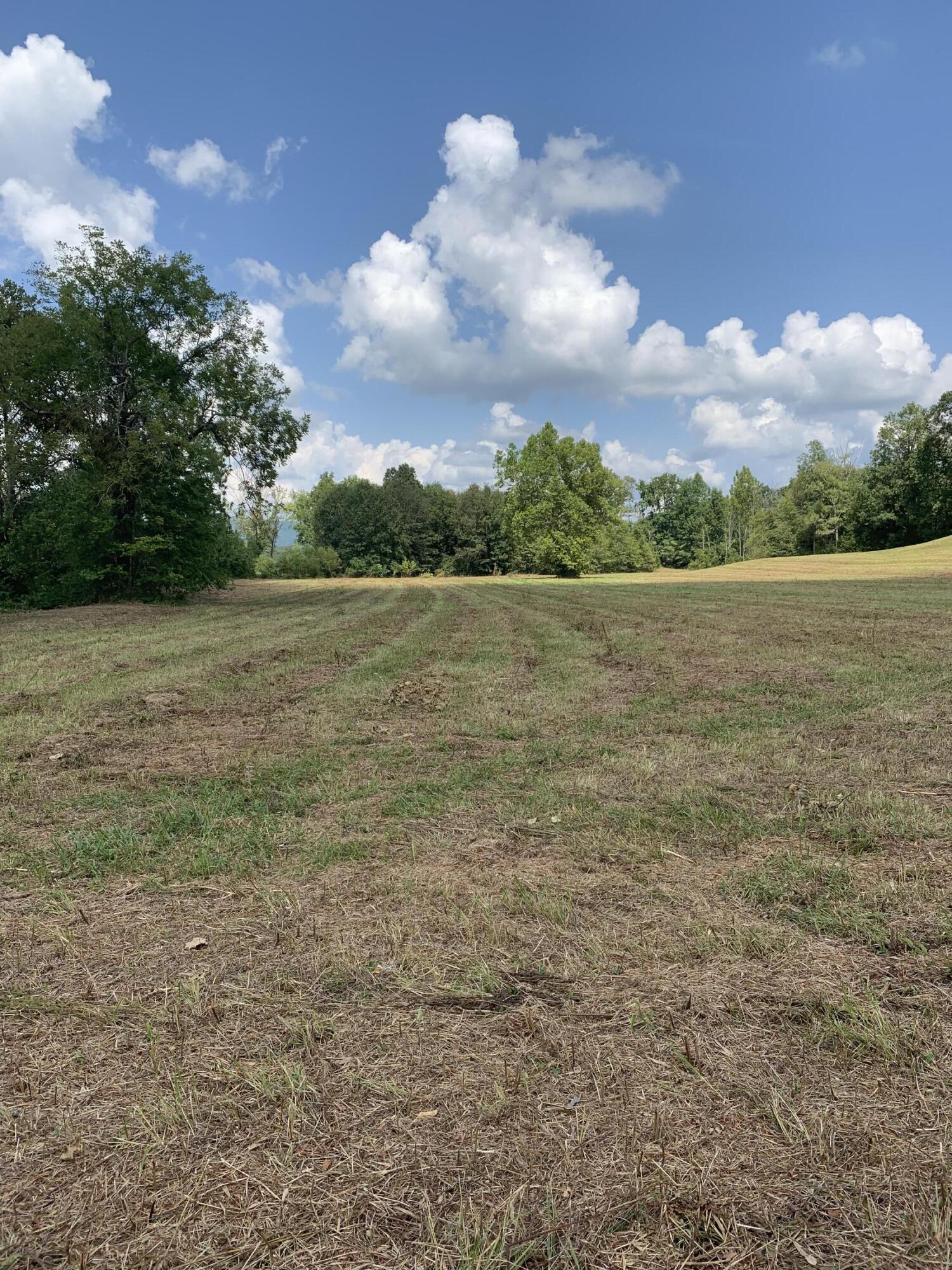 4080 Ottway Road Greeneville, TN 37745 - Photo 74 of 77 IMG-2309