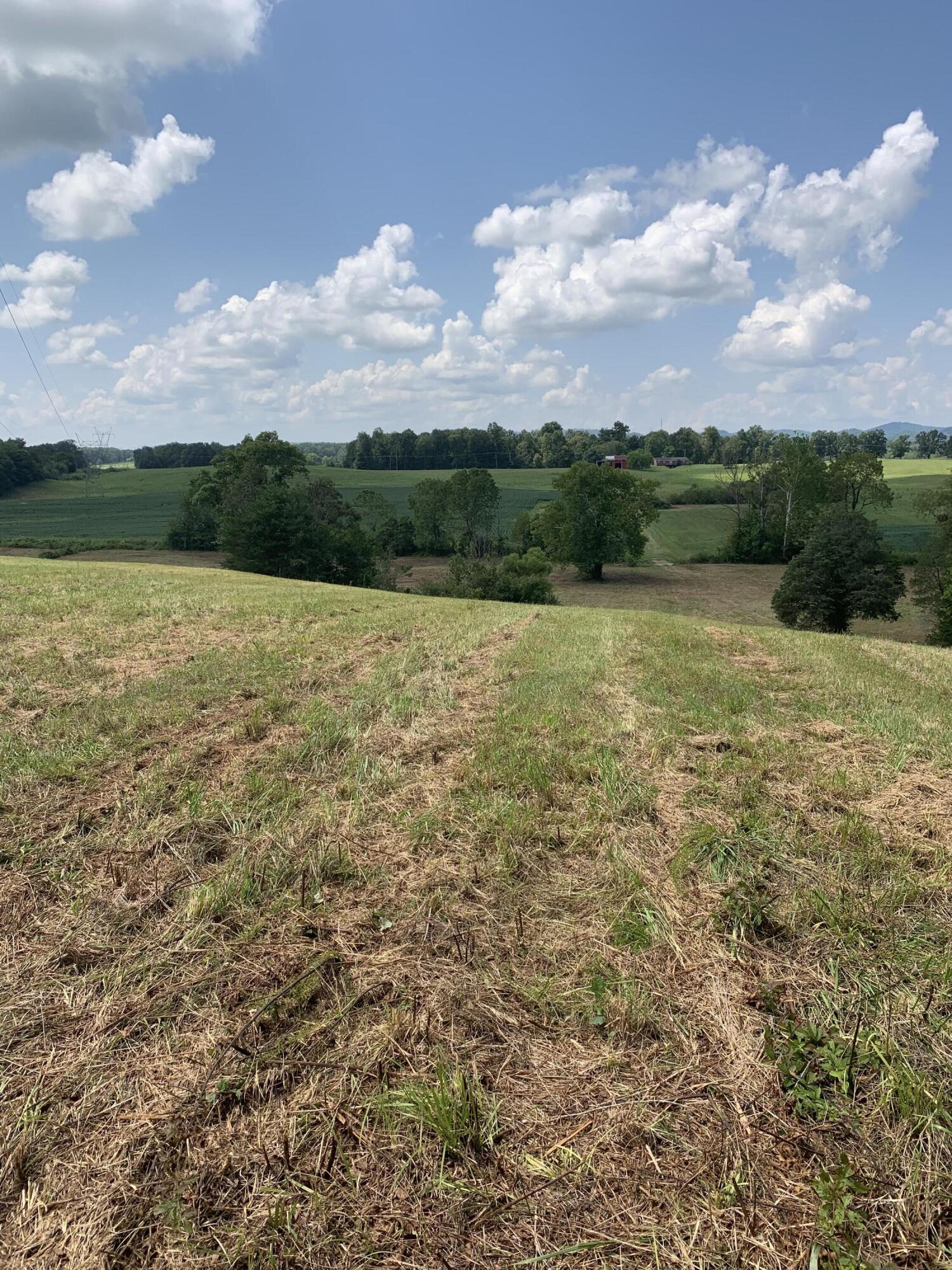 4080 Ottway Road Greeneville, TN 37745 - Photo 75 of 77 IMG-2312
